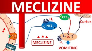 Meclizine for vertigo and motion sickness [upl. by Ecilahc802]