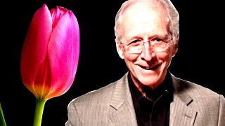 What Are the 5 Points of Calvinism TULIP Explained [upl. by Yelreveb580]