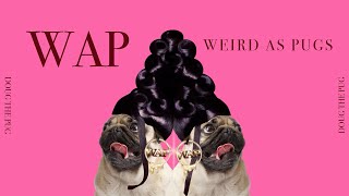 WAP Weird As Pugs  Doug The Pug [upl. by Tannie622]