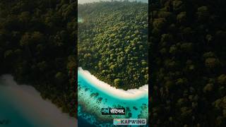 North sentinel island india facts shorts [upl. by Minnie]