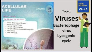 Bacteriophage virus l lysogenic cycle l XI biology l A cellular life [upl. by Soble]