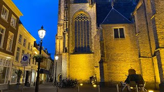 THINGS TO DO IN DELFT CITY AT NIGHT [upl. by Leventhal837]