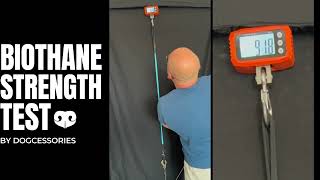 Biothane Dog Leash Strength Test [upl. by Ellicott835]