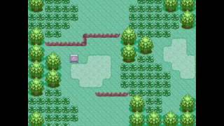 Extended Hoenn Sound Route 101 Pokémon HGSS [upl. by Mochun]