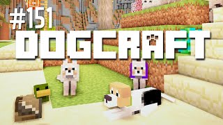 Hello Polly  Dogcraft Ep151 [upl. by Teirtza448]