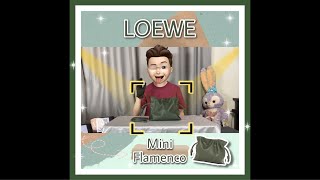 Loewe Mini Flamenco分享介紹片📽 [upl. by Wendye]