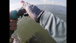 Galveston fishing Fort San Jacinto [upl. by Ethben]