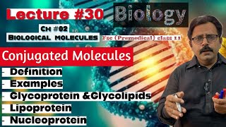 Conjugated molecules  Glycoprotein amp Glycolipids  Lipoprotein Nucleoprotein  Biology class 11 [upl. by Okiruy]