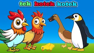 Tek Kotek Kotek Anak Ayam Lagi Anak Anak Populer [upl. by Dessma]