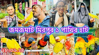 বৃস্টিতেও জমজমাট মিরপুর ১ পাখির হাট।Mirpur 1 Pakhir hat MurshedPets viral pet [upl. by Dalenna]