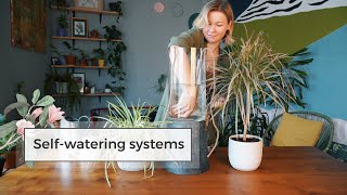 4 DIY SelfWatering Systems  Water Plants While Away [upl. by Clein]