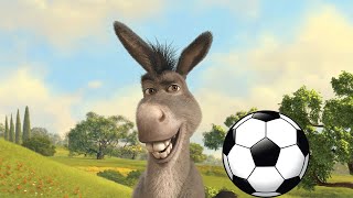 El Equipo de Fútbol de los Burros [upl. by Jovita145]