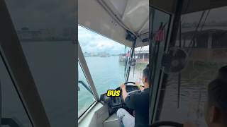 Cet homme plonge le bus dans la rivière et surprend les passagers 😨 [upl. by Dennett606]