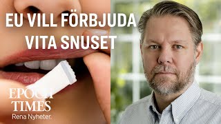 EU överväger förbud mot nikotinpåsar även känt som vitt snus [upl. by Alket]