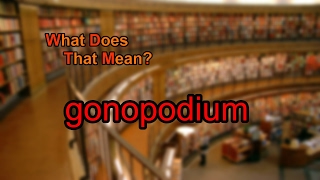 What does gonopodium mean [upl. by Ativet]