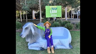 STUDENTS LEARN ABOUT AGRICULTURE  EKKA TV Rural Discovery Day 2024 [upl. by Cayla]