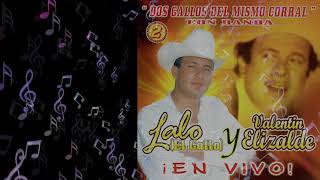 Los Pájaros  Valentin Elizalde El Gallo de Oro  En Vivo Vol2 [upl. by Ause]