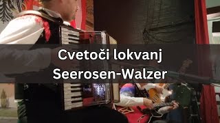 Cvetoči lokvanj  SeerosenWalzer Alpski Muzikantje  Melbourne oberkrainer accordion [upl. by Anesuza]