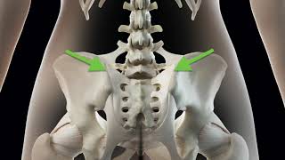 Sacroiliac Joint Pain Explainer  ChiroUp EvidenceBased Chiropractic [upl. by Hennebery855]