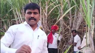 karyon organic 9689882652 farming result video agriculture ushशेतकरी life [upl. by Ainitsirc]