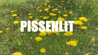 🌼 Ecrismoi un poème… [upl. by Ahsinrats]