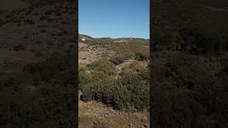 Papoulis Canyon Ranch  colorado realestate landforsale steamboatsprings [upl. by Tratner175]