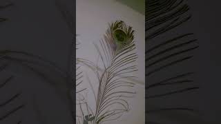 Wall Decoration with peacock Petals diy calmdown music love [upl. by Johnstone]