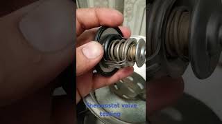 Test of Thermostat Valve [upl. by Nennerb748]