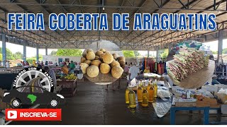 Feira coberta de Araguatins [upl. by Loftis]