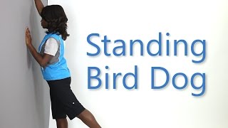 How to do a Standing Bird Dog Alternate Exercise Health eUniversity [upl. by Akiehsal]