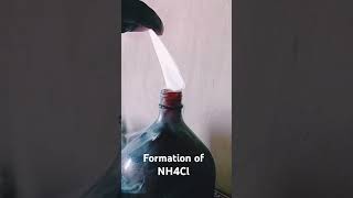 Formation of NH4Cl chemistry [upl. by Hunger]