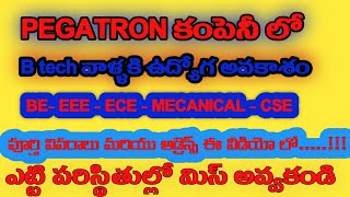 Jobs in Pegatran company  Btech jobs  jobs update  Full detiles in Telugu  Balatecinfo [upl. by Coshow]