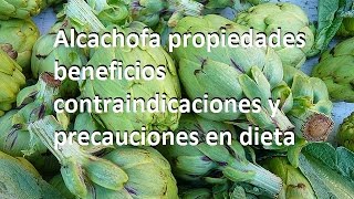 Alcachofa propiedades beneficios contraindicaciones y precauciones en dieta [upl. by Dracir]