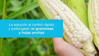 Gramoxone Super de Syngenta [upl. by Pool]