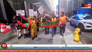 Ebla 20 2024 Hiriira Hawaasa Oromoo ToroontooPeaceful Oromo protest Toronto Canada [upl. by Salome]