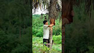 How To Make Palm Leaf Raincoat shortsvideo [upl. by Tena]