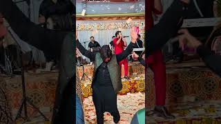 Dil karda navin suite by Mazhar Rahi live performance  wedding show [upl. by Ollopa]