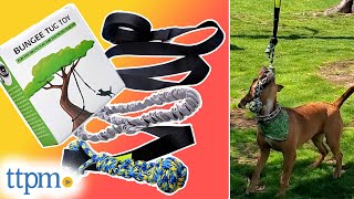 Outdoor Bungee Tug Dog Toy from Loobani Review [upl. by Naik]