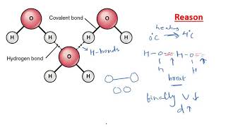 Anomalous expansion of water Boon to aquatic animals in cold regions [upl. by Chaker640]