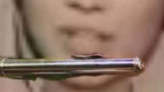 Flute Lesson 2 With Teacher Chappellx5o  Basic Sound With Only The Headjoint [upl. by Rattray396]