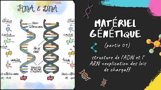 Le matériel génétique  partie 1 📣 EXPLICATION 🔔 L2 Génétique SNV GENETIQUE [upl. by Owain]