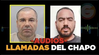 Audios de las llamadas del Chapo y El Cholo Iván JuicioChapo [upl. by Iridis385]