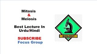 9 Mitosis amp Meiosis  Cell Division  Lecture in UrduHindi [upl. by Free]