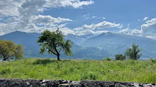 Alpine Tranquility in Heidiland Switzerland [upl. by Nalro498]