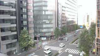 Tokyo Shinjuku street Live camera World cam [upl. by Benge]