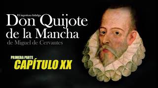 Don Quijote de la Mancha Audiolibro Primera parte  Capitulo 20 [upl. by Drarej]