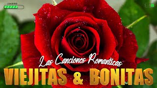 Canciones Viejitas Romanticas Mix  Las Canciones De Amor En Español Románticas Y Atemporales [upl. by Maon261]