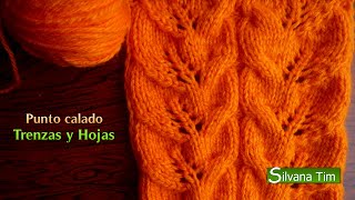 PUNTO HOJAS CALADAS y TRENZADAS asimétricas Tutorial de Tejido en dos agujas  silvana tim  41 [upl. by Donelle735]