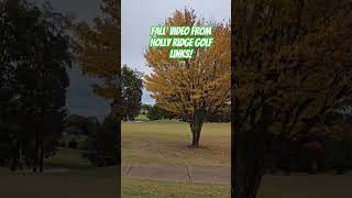 Fall Golf  Holly ridge Golf Links Highly recommend golf golfing [upl. by Feodora]