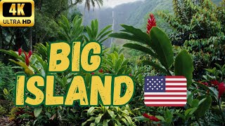 【4K】Hawaii Big Island  KailuaKona Akaka Falls State Park amp Hilo Walk  60 fps [upl. by Oremor]